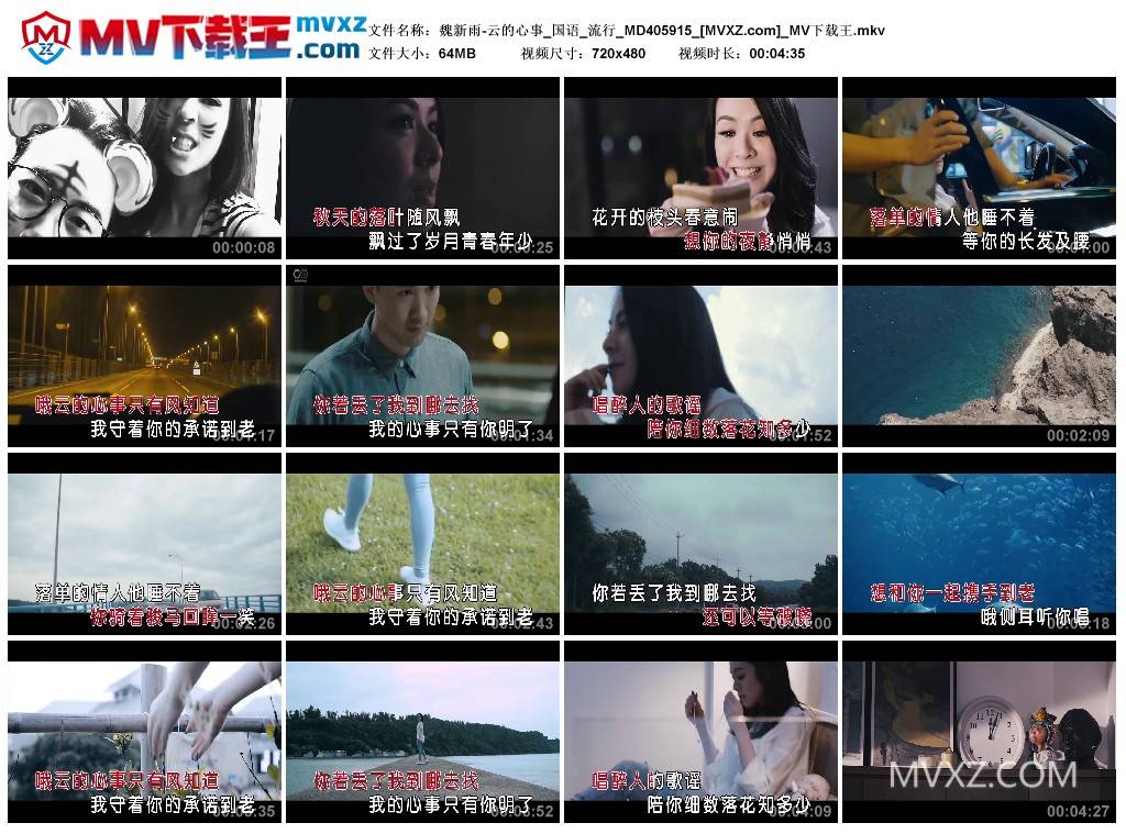 魏新雨-云的心事_国语_流行_MD405915